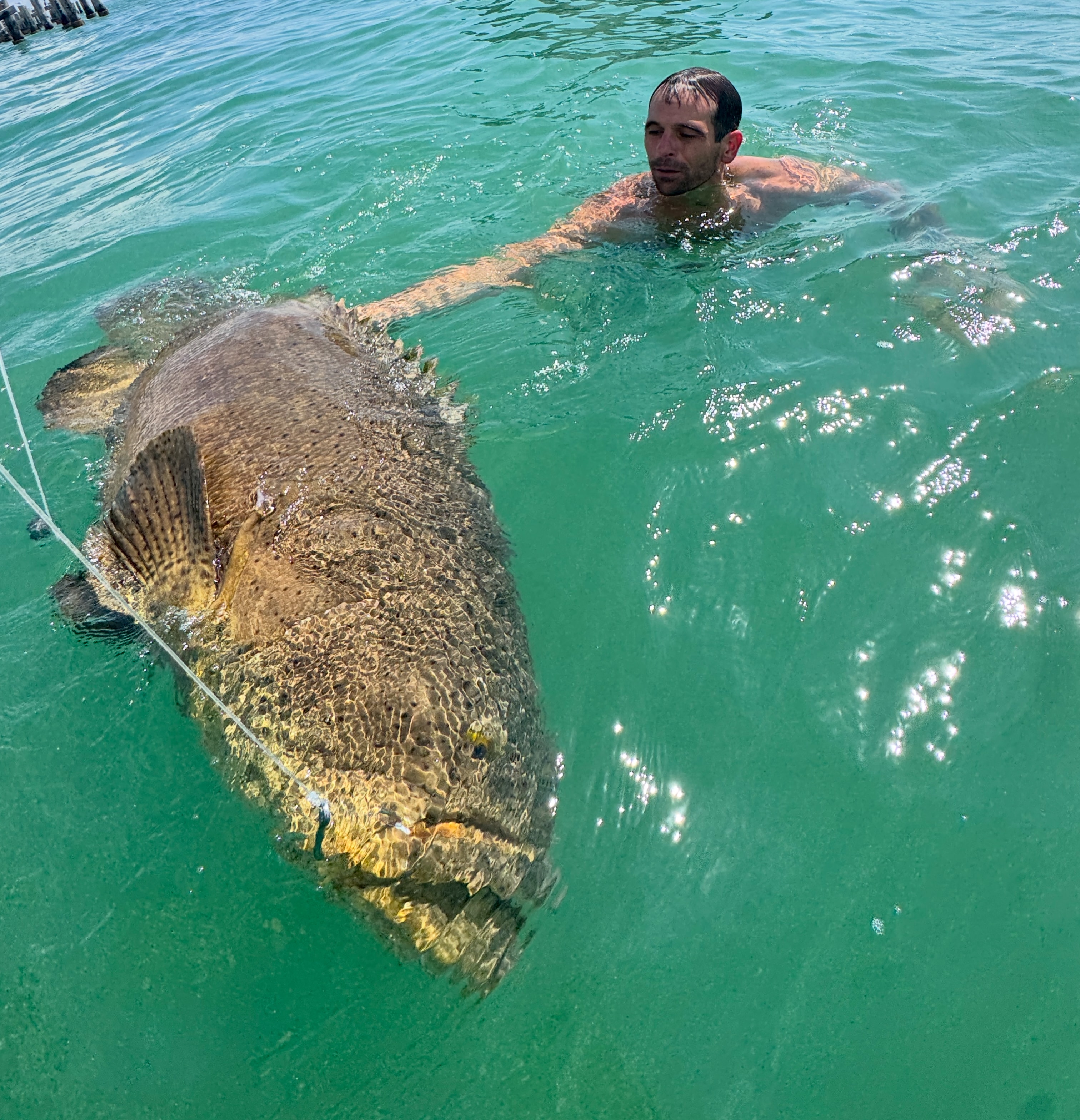 Angler holding a silver king tarpon on a SWFL fishing charter